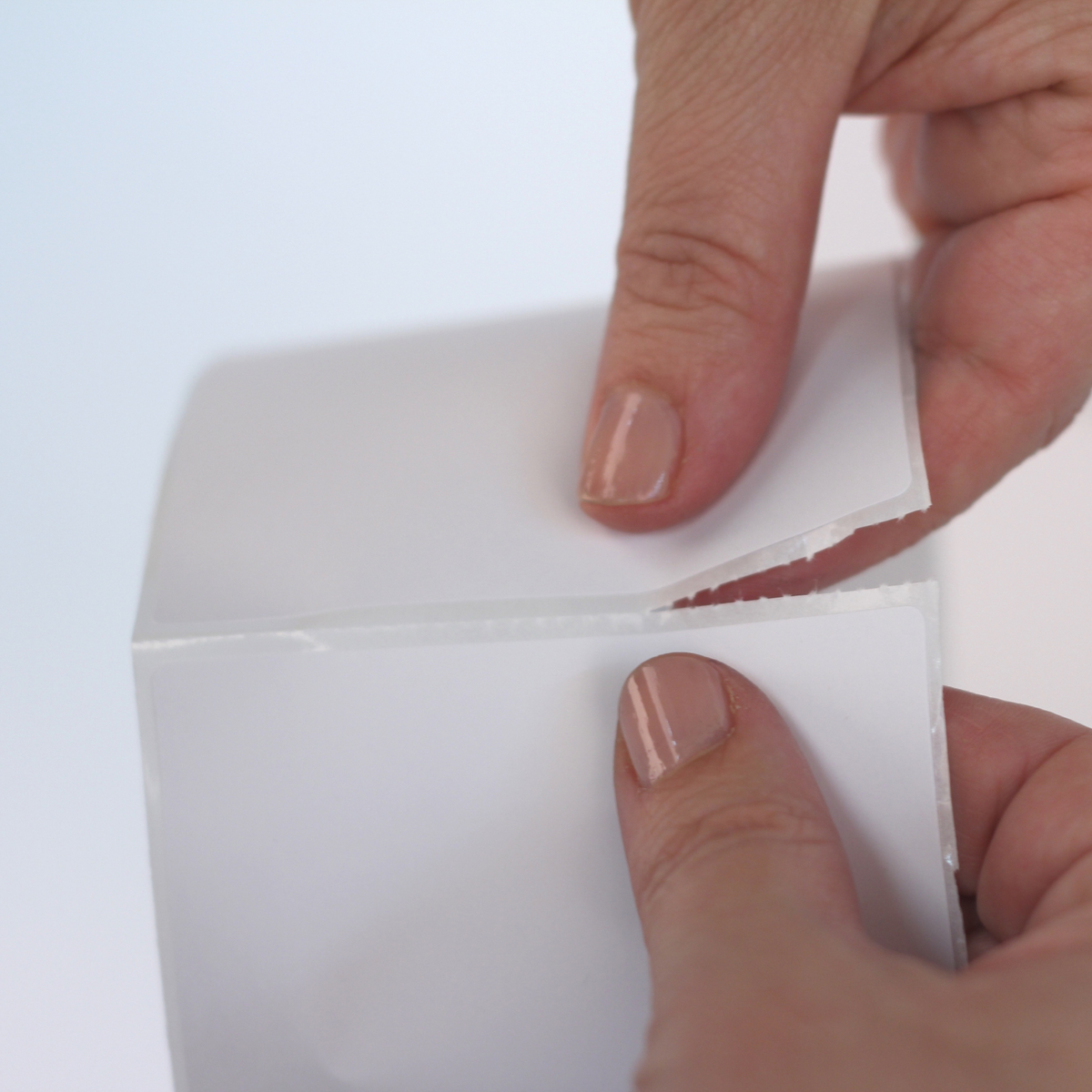 Shop Thermal Direct Labels + More at insignia Australia
